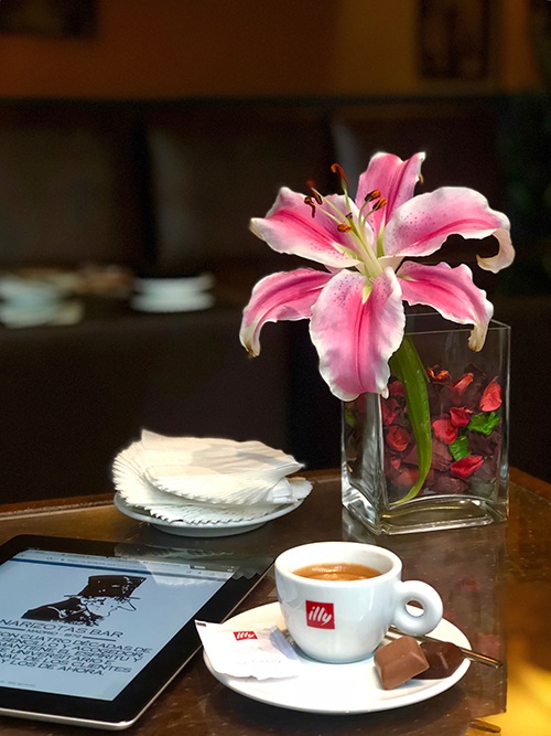 Hamburguesas, bocadillos, tortillas, ensaladas a domicilio